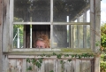 wedding, new forest, bartley l-054